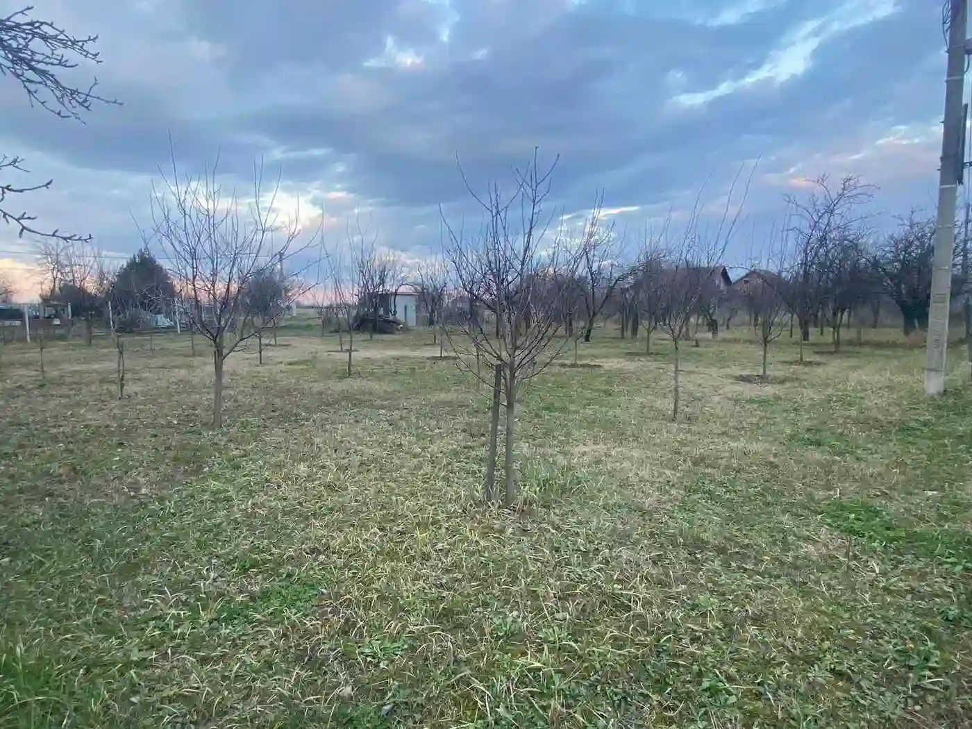 plac na prodaju Veternik, 600m2 523819