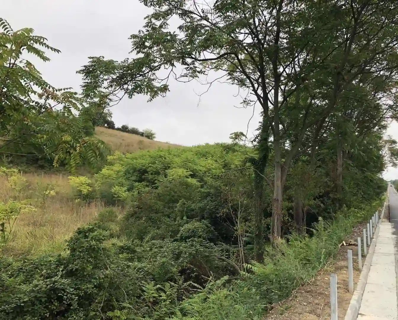 plac na prodaju Beočin, 6447m2 521673