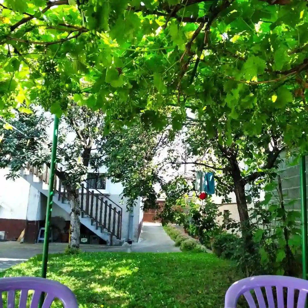 kuca na prodaju Futog 130m2 523951