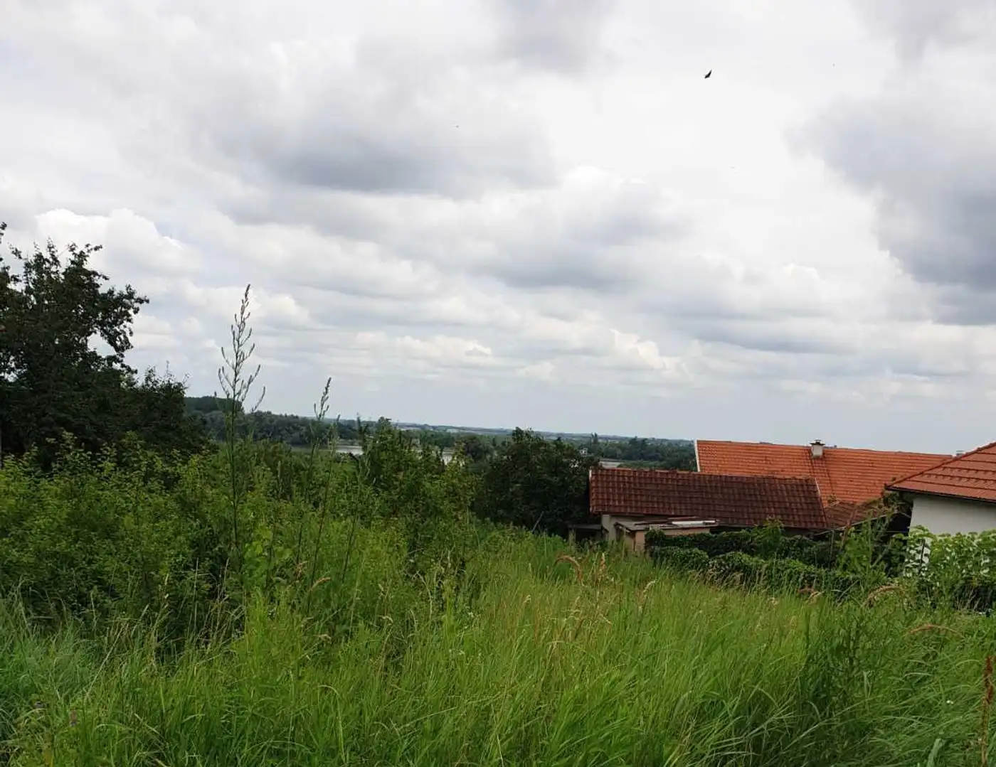 plac na prodaju Čerević, 547m2 524149