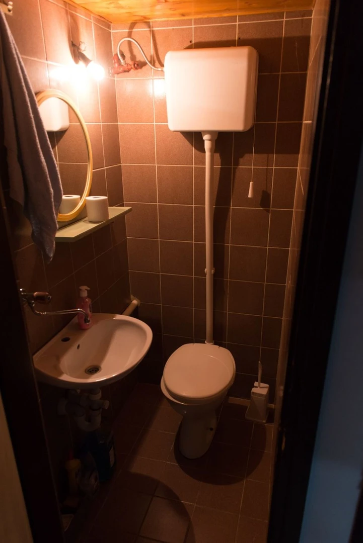 stan na prodaju Novi Sad 54m2 525157