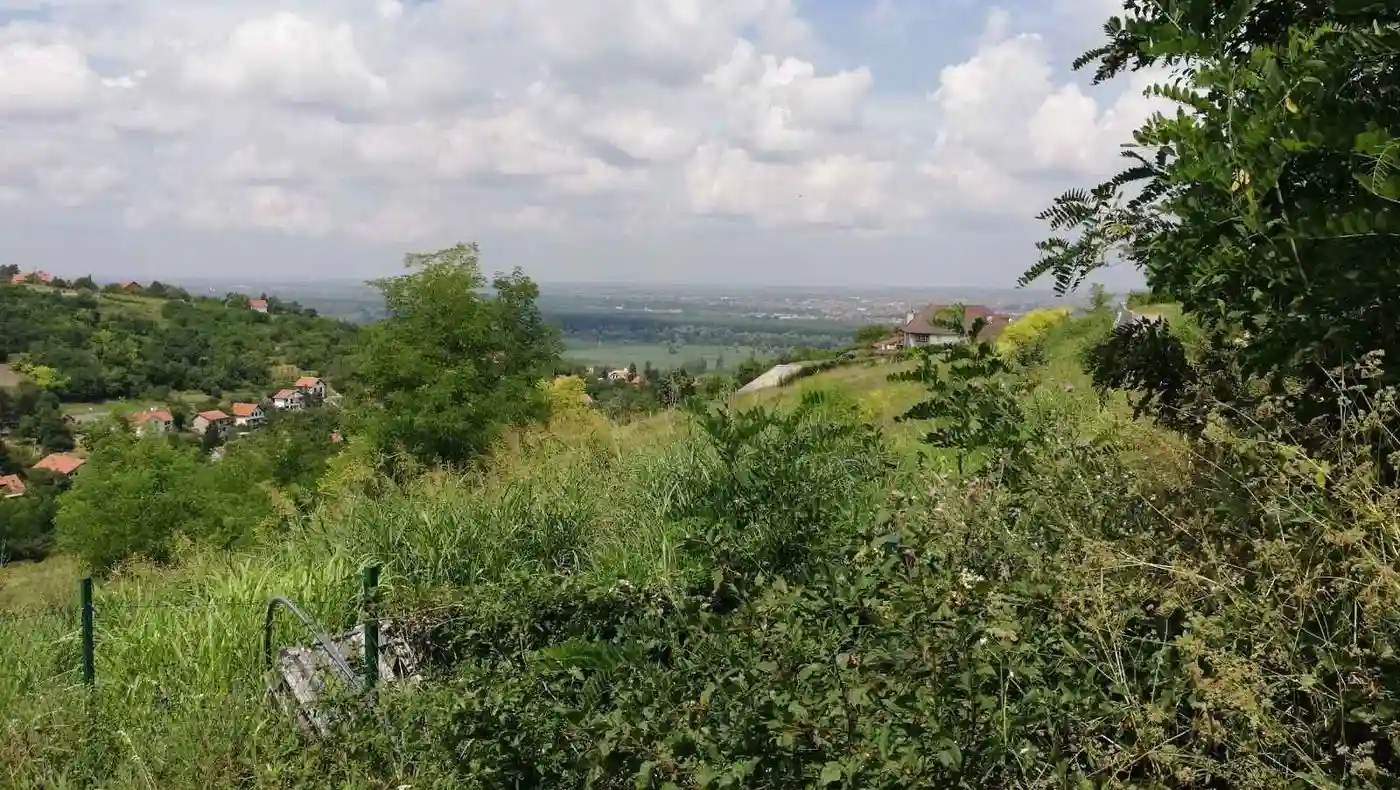 plac na prodaju Ledinci 4810m2 524335