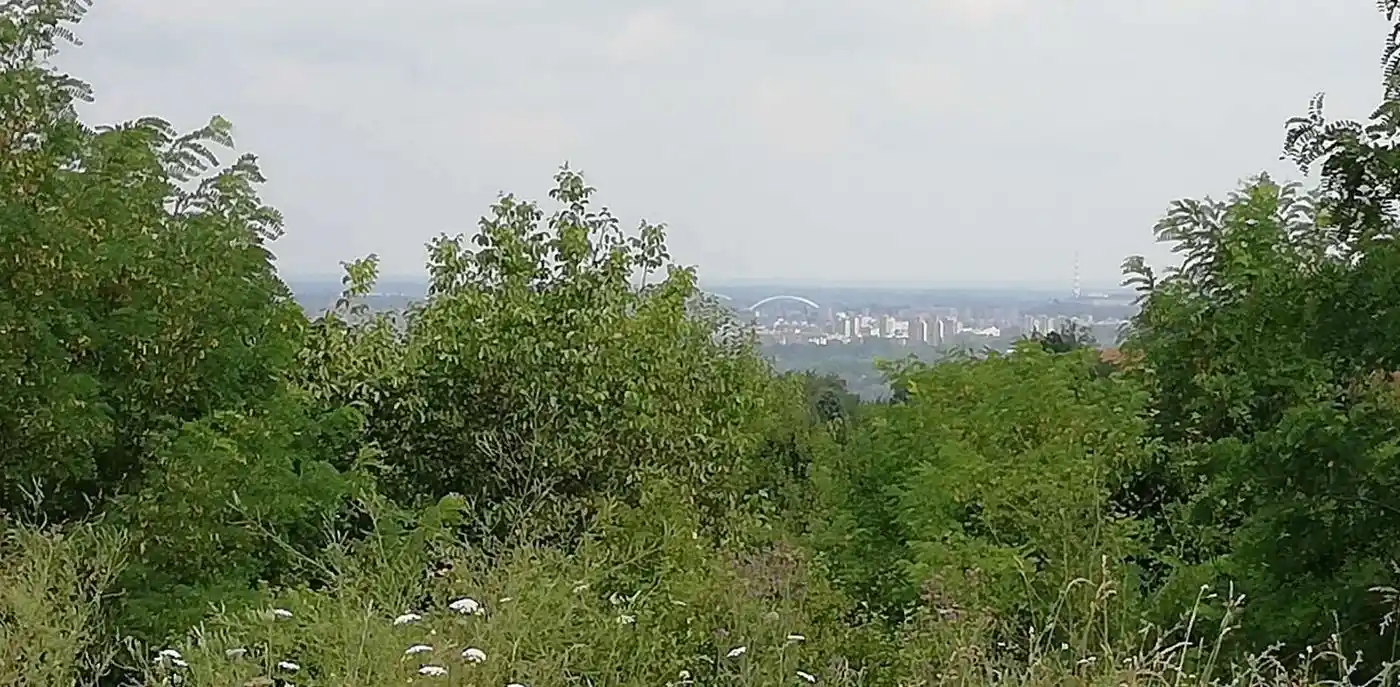 plac na prodaju Ledinci 4810m2 524335