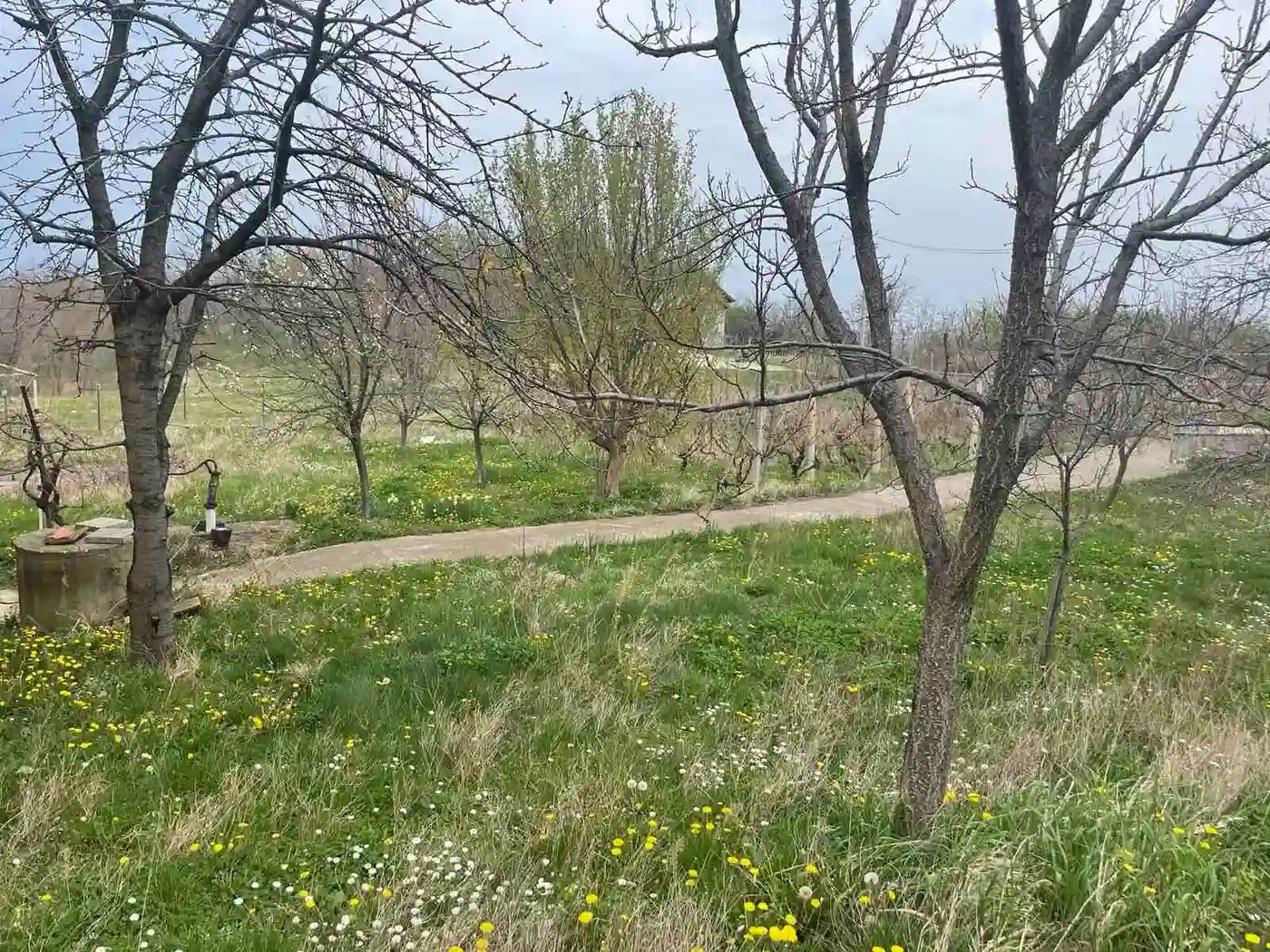 kuca na prodaju Ledinci 60m2 525785