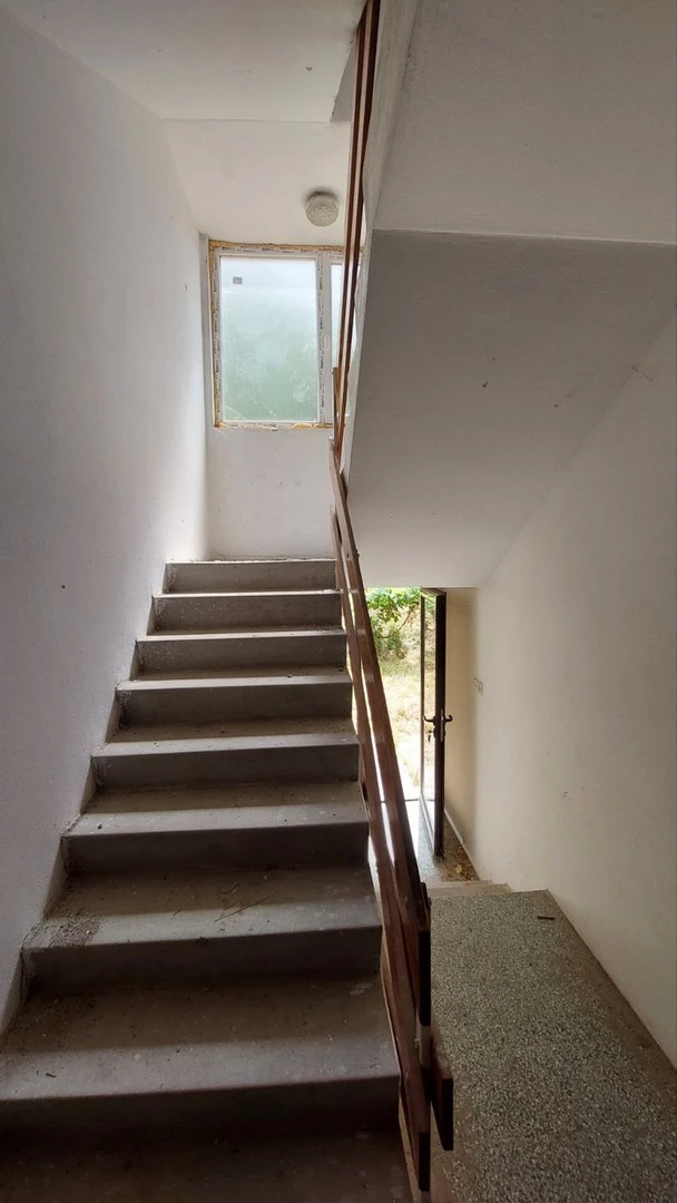 kuca na prodaju Sremski Karlovci 487m2 469757