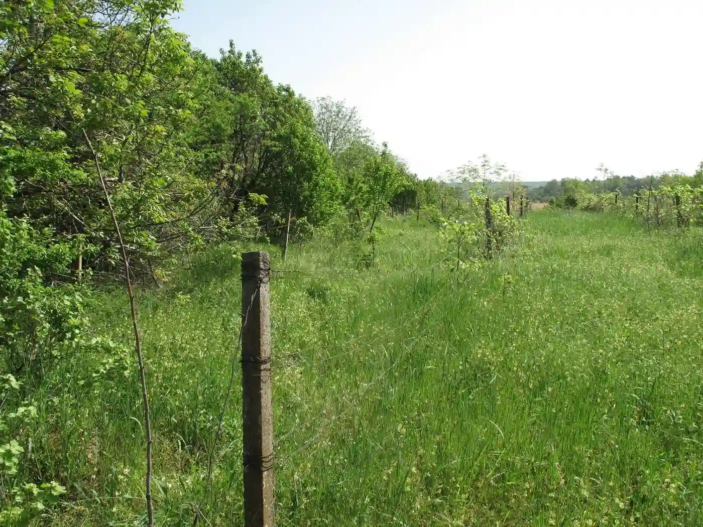 plac na prodaju Petrovaradin 1357m2 526080