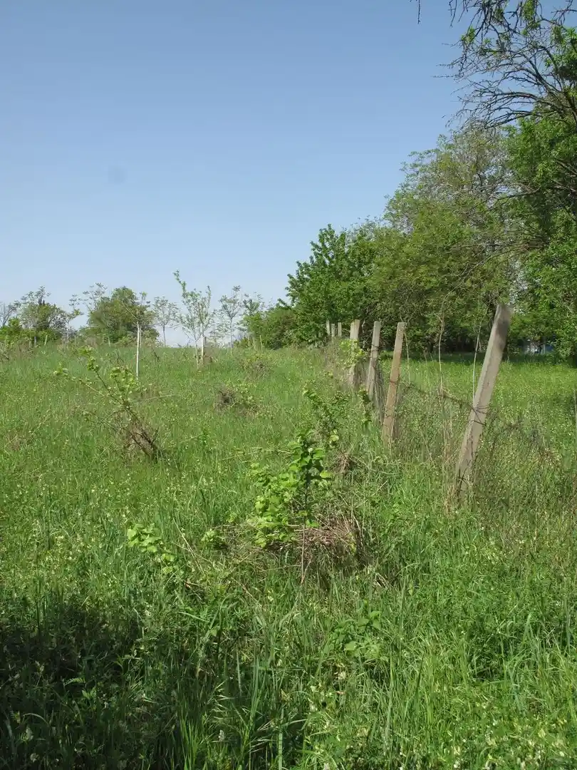 plac na prodaju Petrovaradin 1357m2 526080