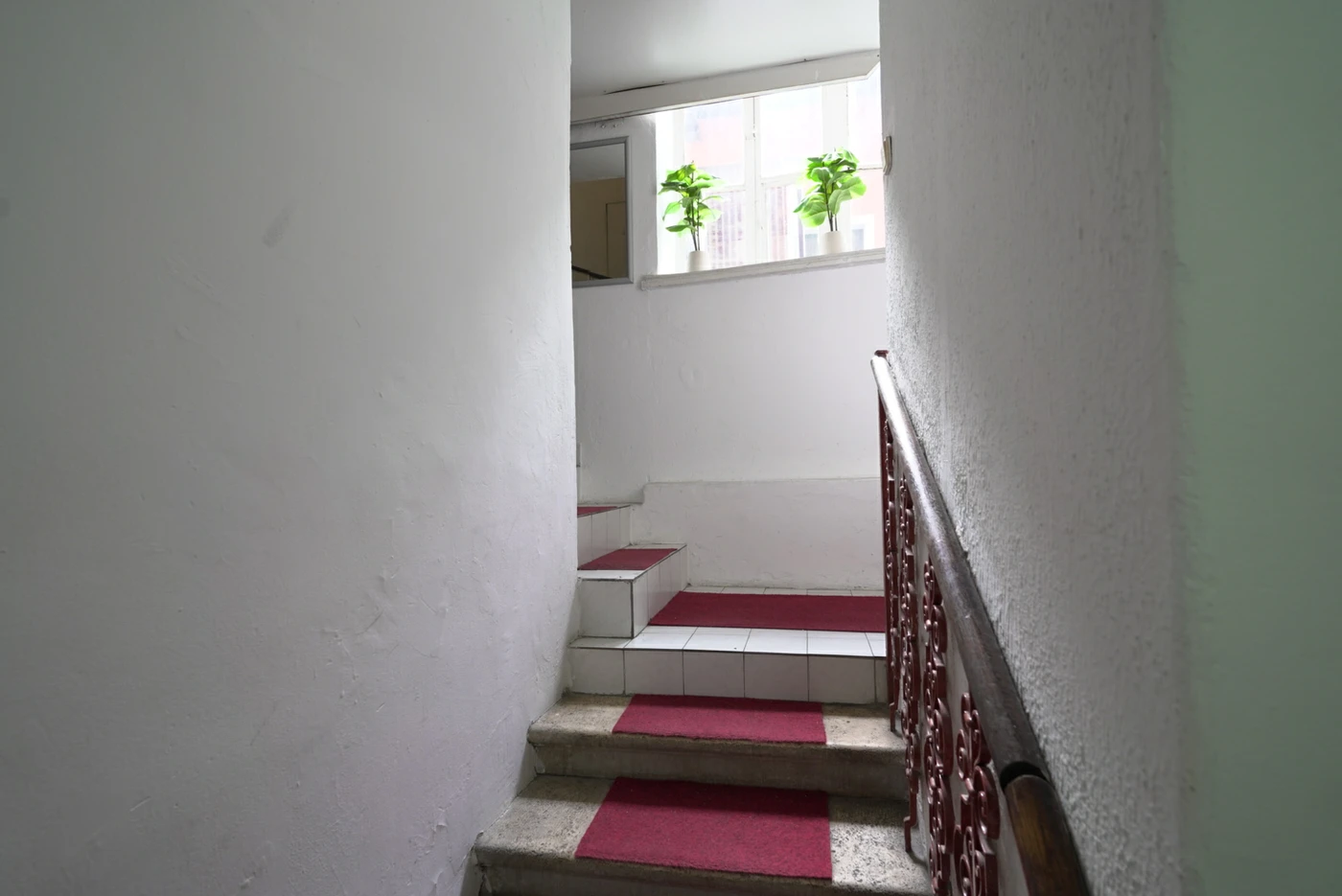 stan na prodaju Novi Sad 250m2 523854