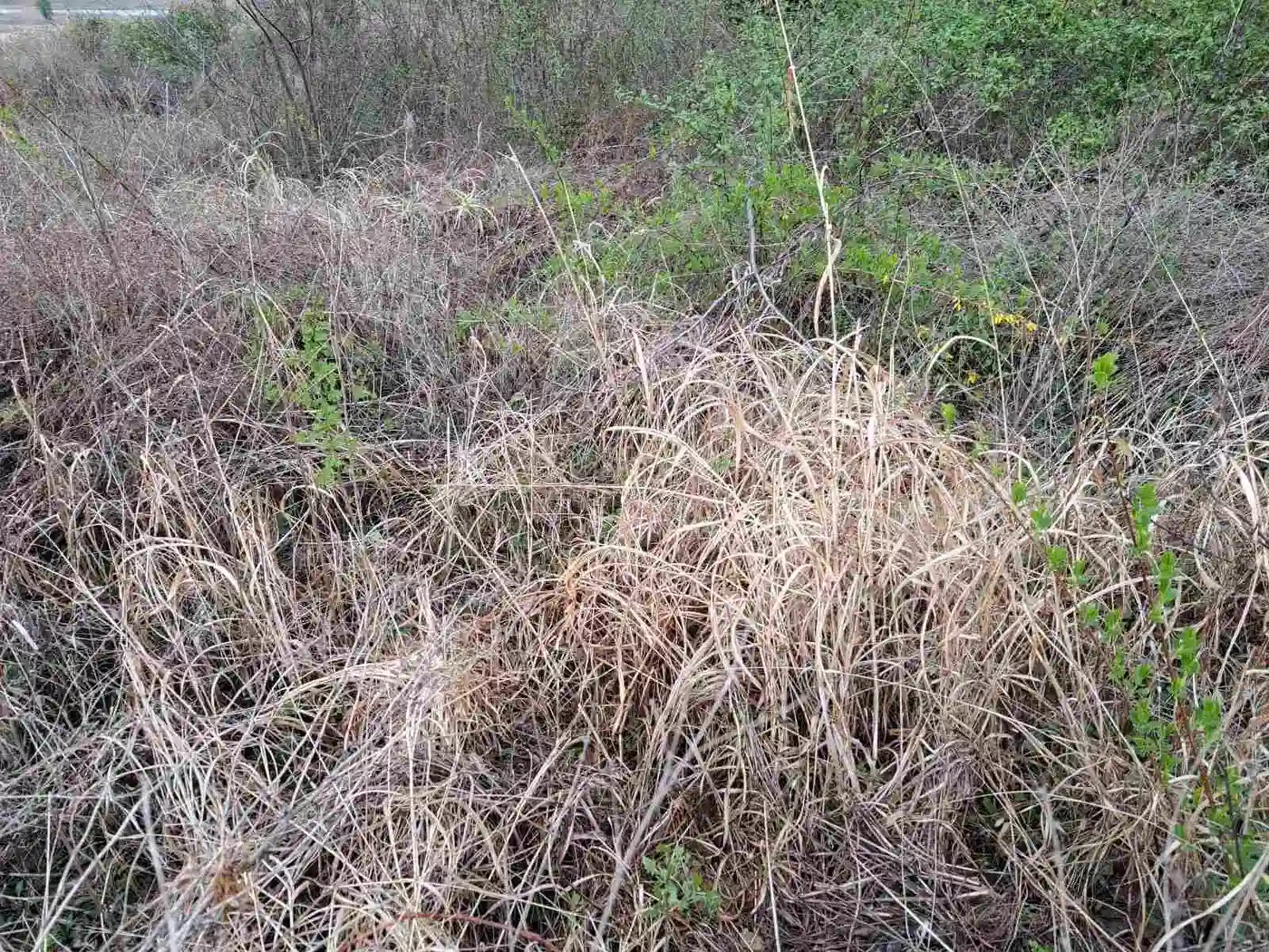 plac na prodaju Rakovac, 1384m2 525562