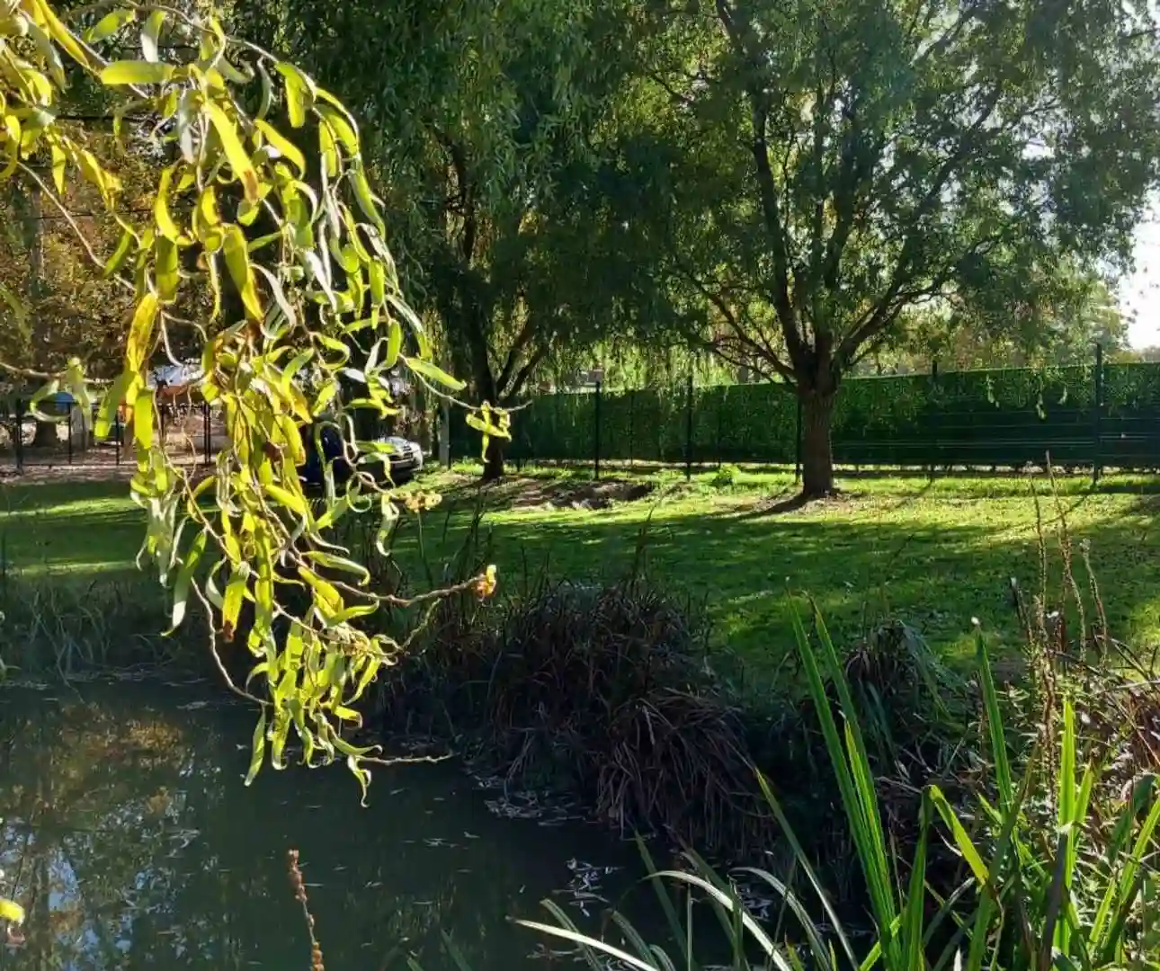 plac na prodaju Bukovac, 1204m2 526339