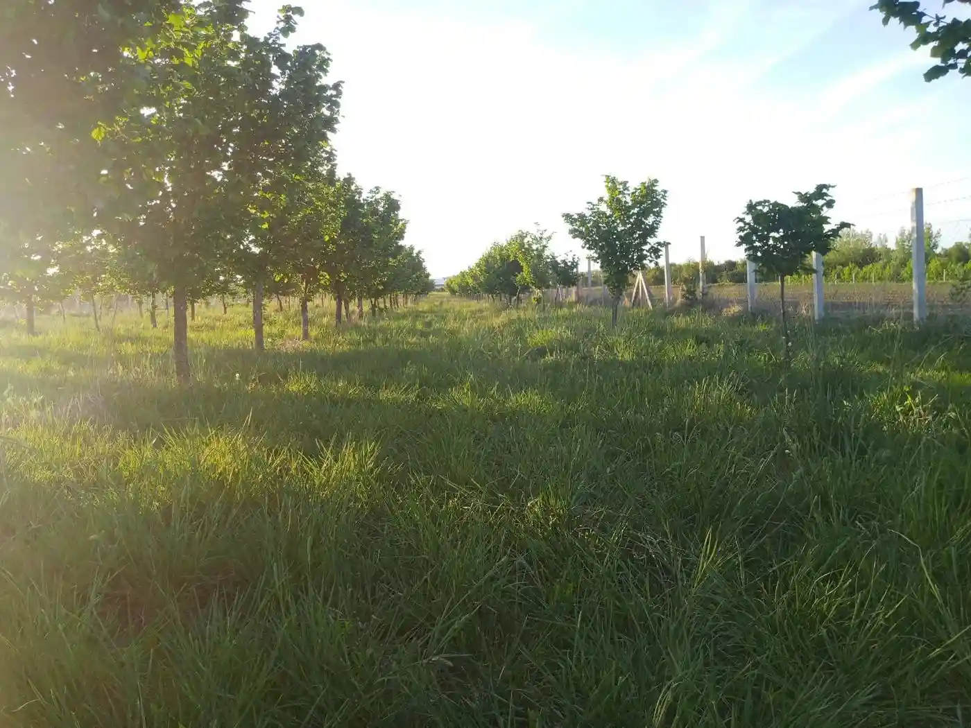 plac na prodaju Vrbas 6425m2 527453