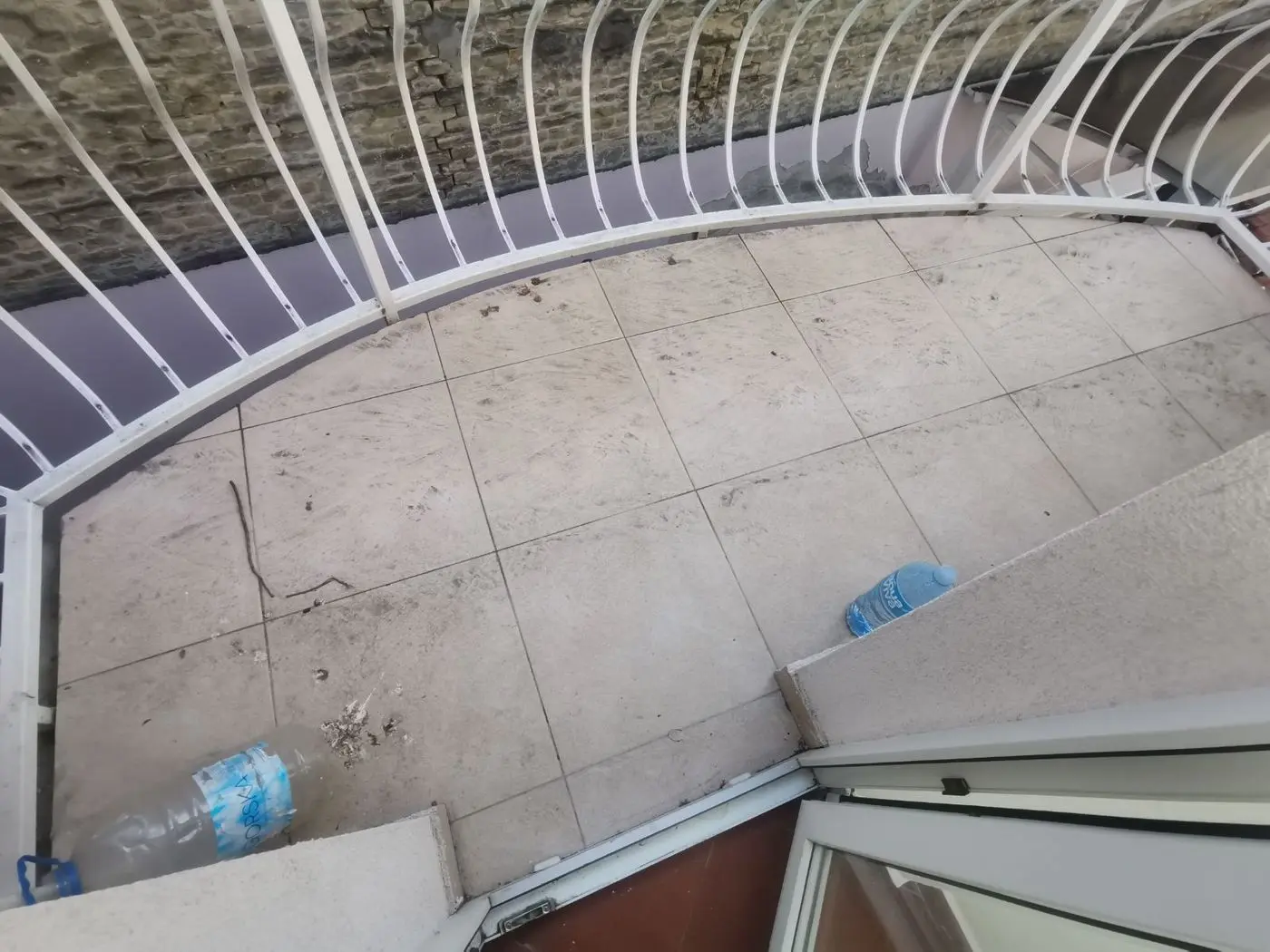 lokal za izdavanje Novi Sad 63m2 10111