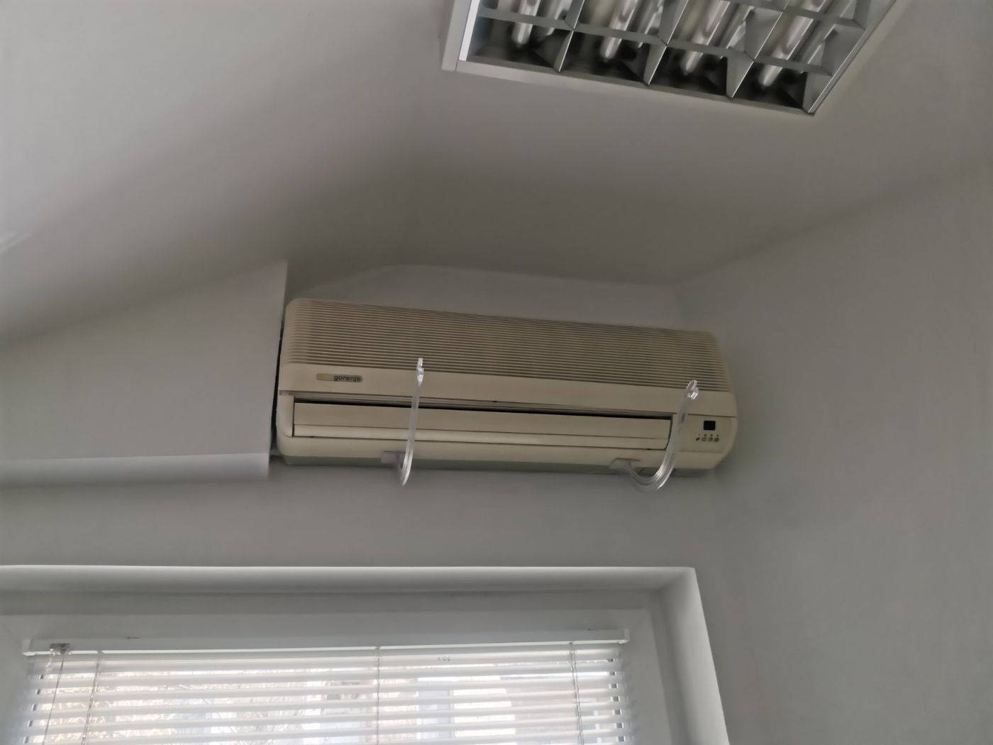 lokal za izdavanje Novi Sad 63m2 10111