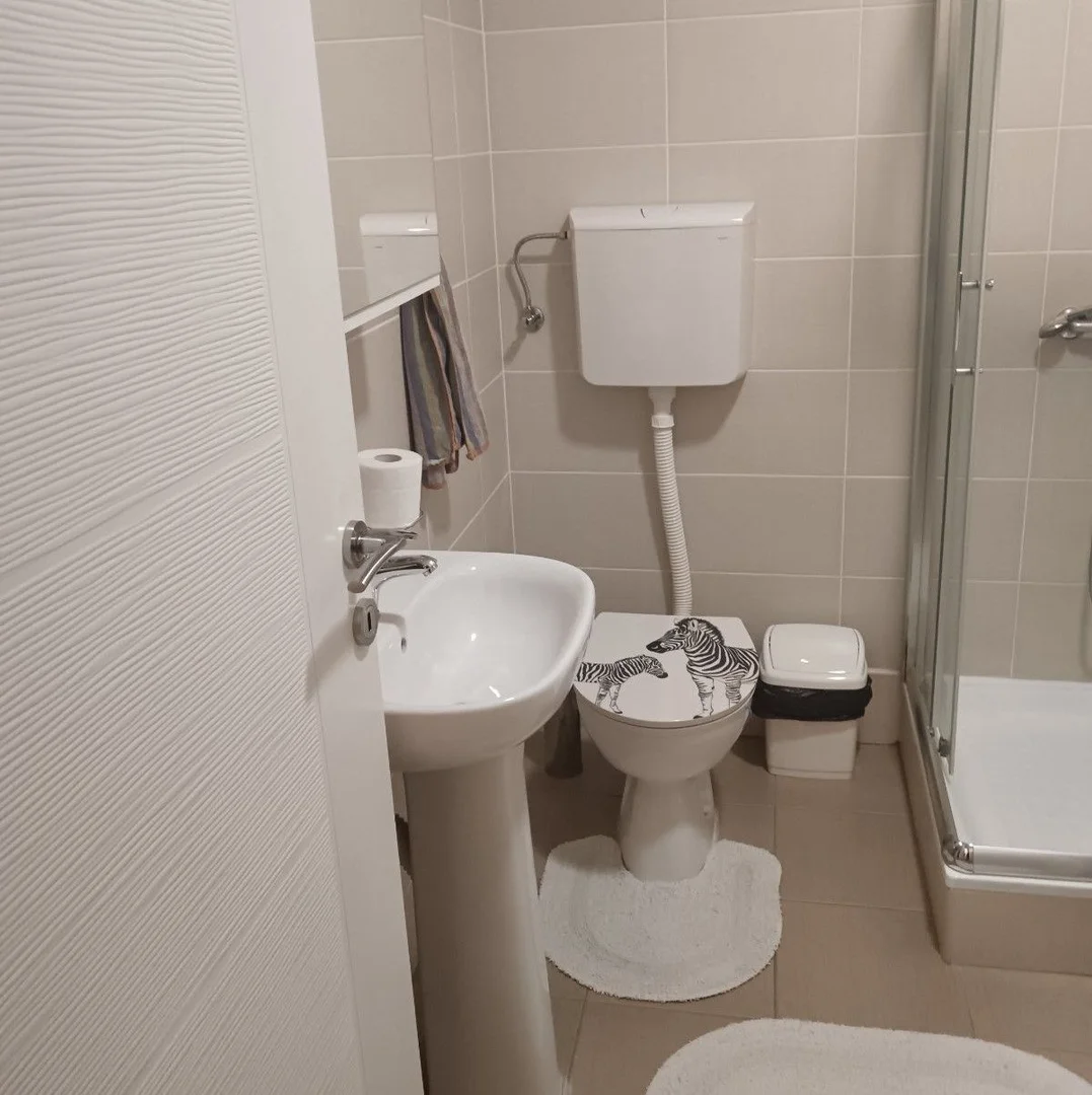 Stan za izdavanje Novi Sad 38m2, 10581