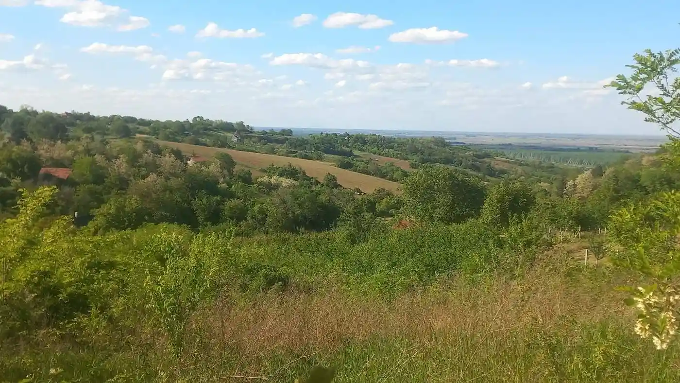 plac na prodaju Sremski Karlovci, 2448m2 528100