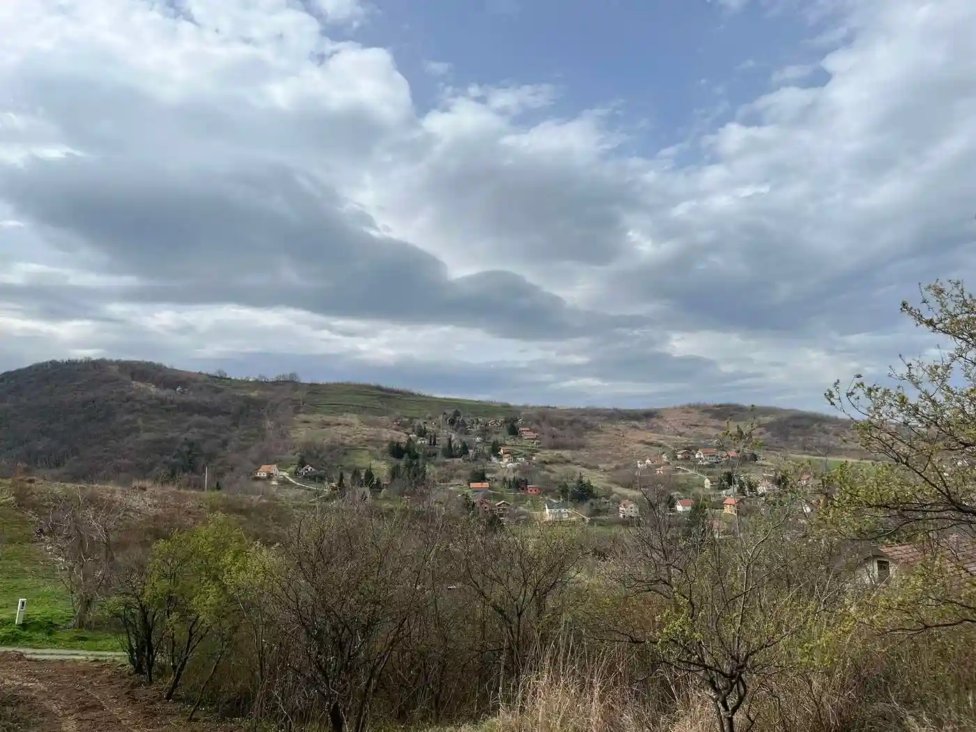 plac na prodaju Rakovac 1428m2 528140