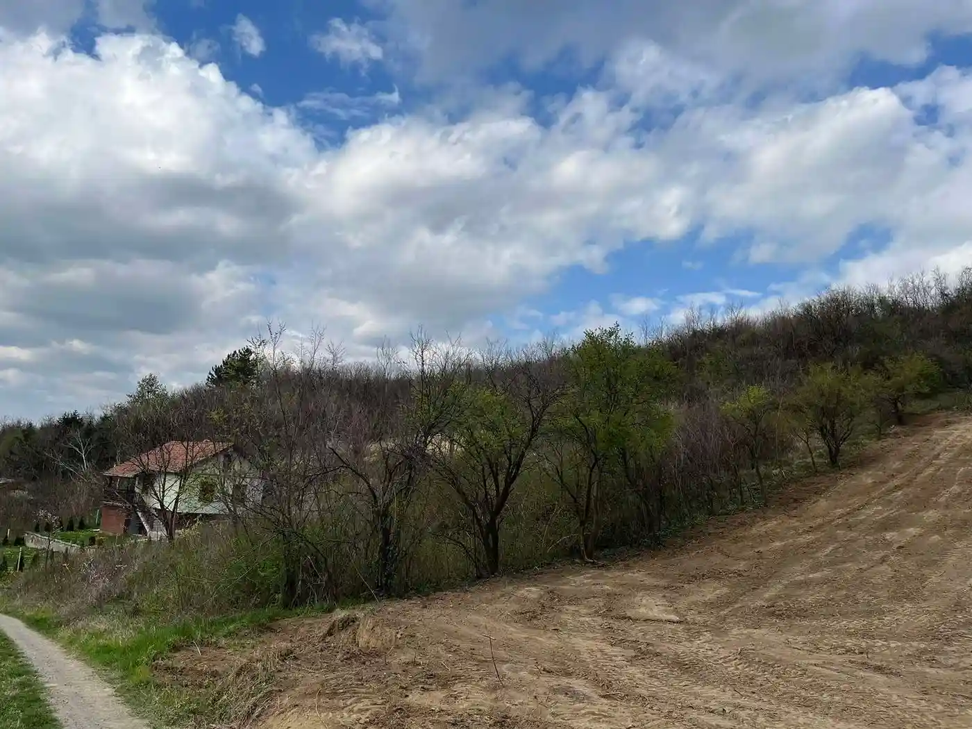 plac na prodaju Rakovac 1428m2 528140