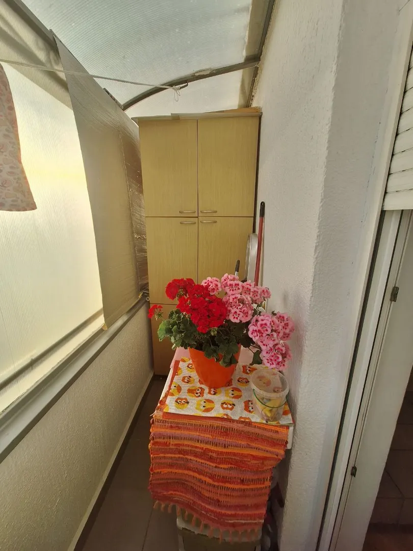 stan na prodaju Novi Sad 58m2 528254