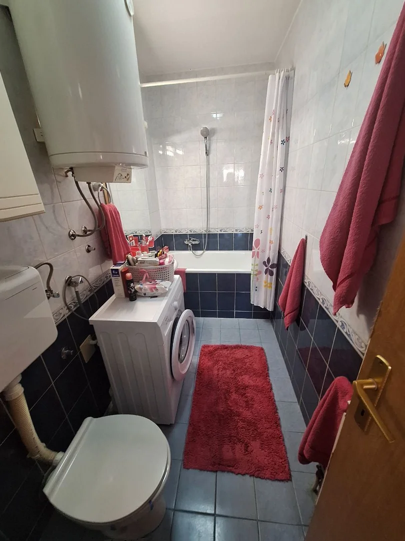 stan na prodaju Novi Sad 58m2 528254