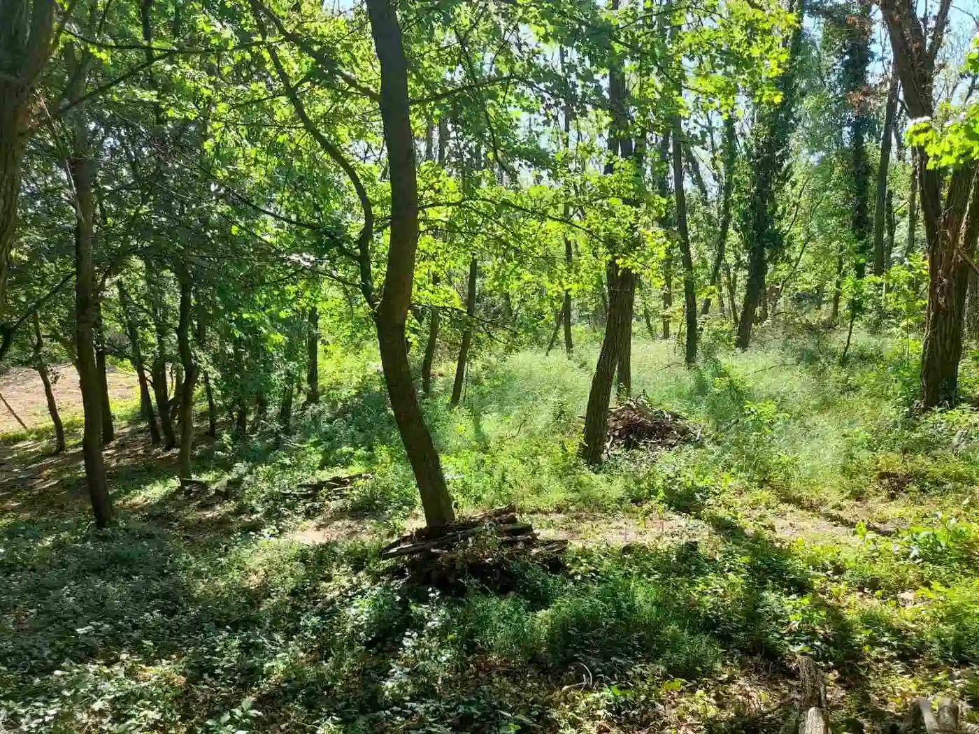 plac na prodaju Beočin 3839m2 528461