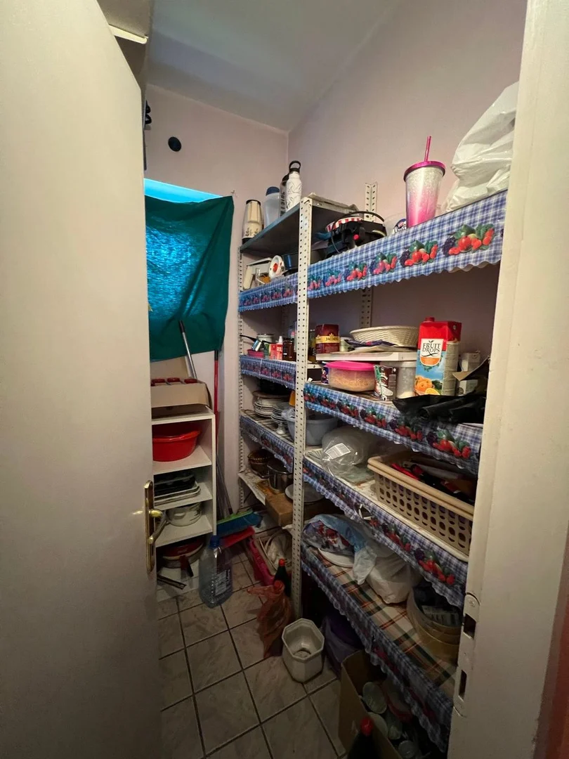 kuca na prodaju Veternik 278m2 528563