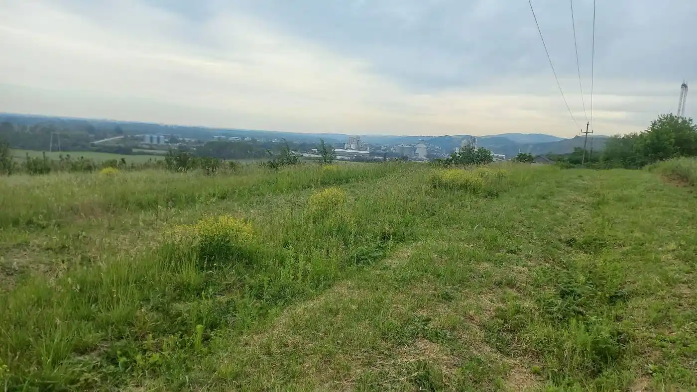 plac na prodaju Čerević, 2367m2 528620