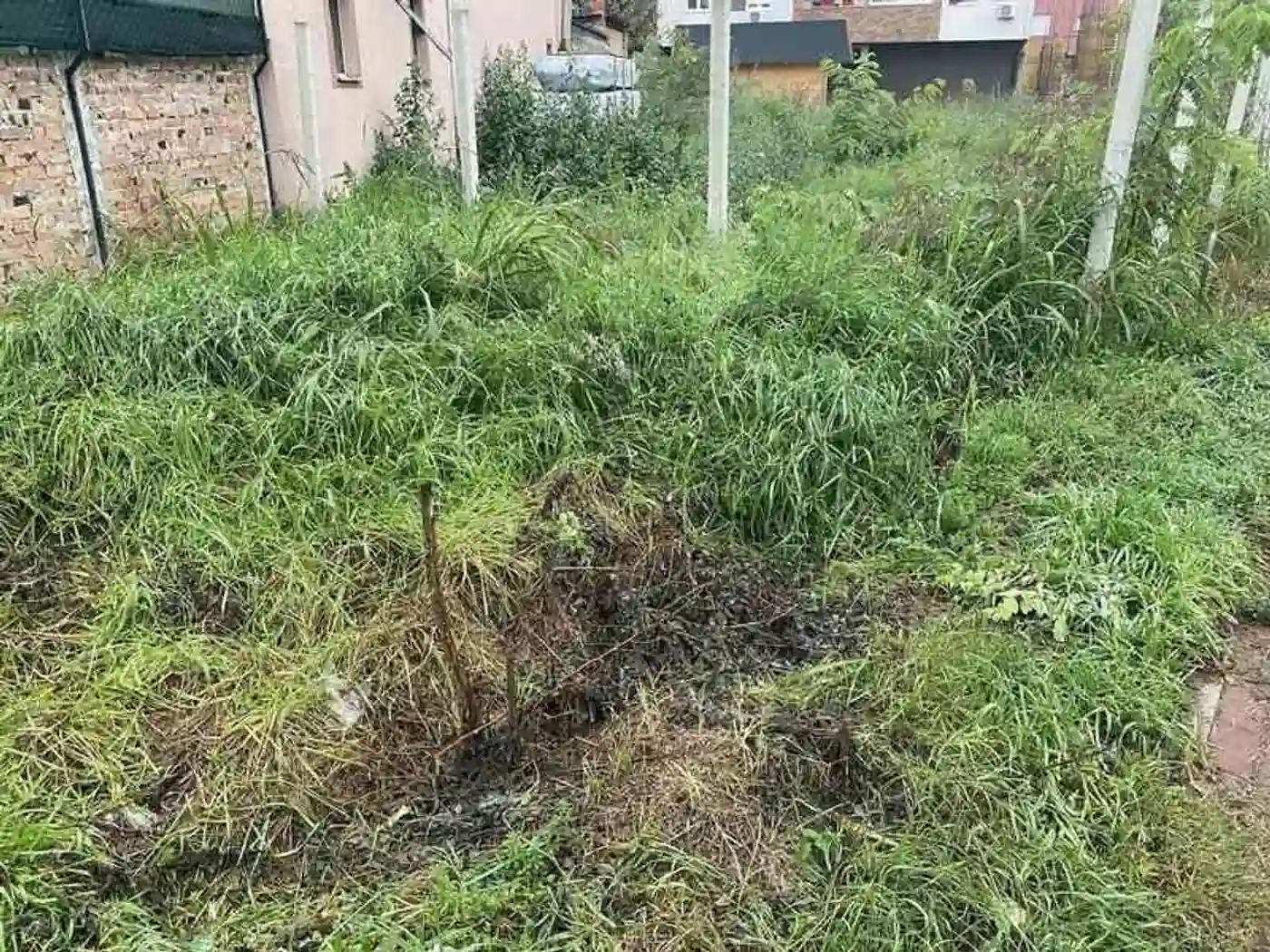 plac na prodaju Novi Sad, 2386m2 528814