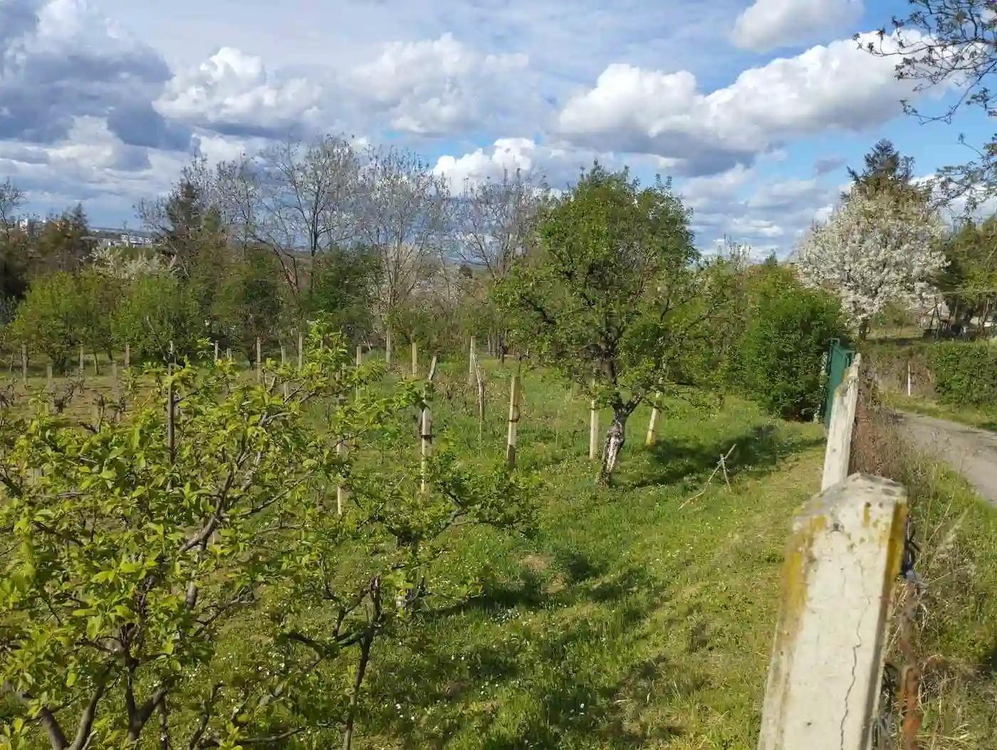 kuca na prodaju Petrovaradin, 54m2 522777