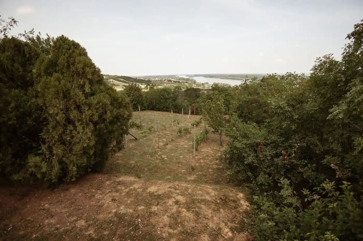 kuca na prodaju Sremski Karlovci 172m2 528668