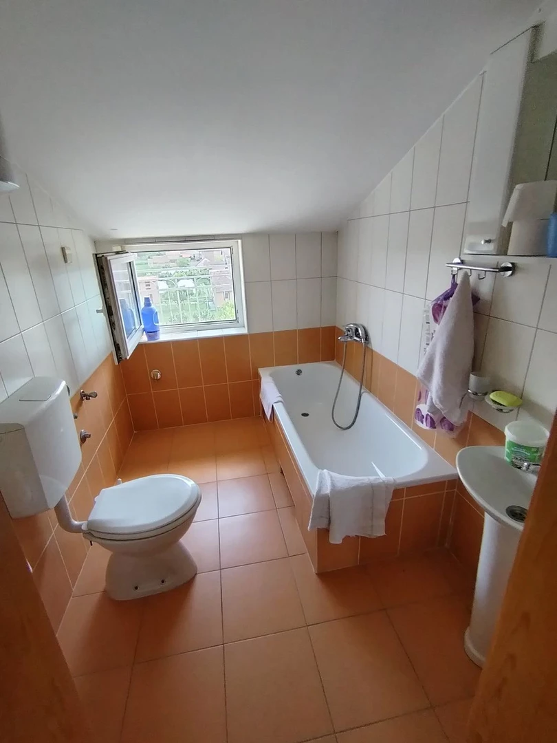 kuca na prodaju Kać 478m2 529546