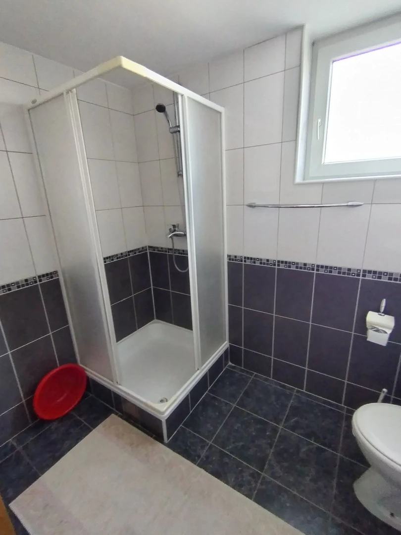 kuca na prodaju Kać 478m2 529546