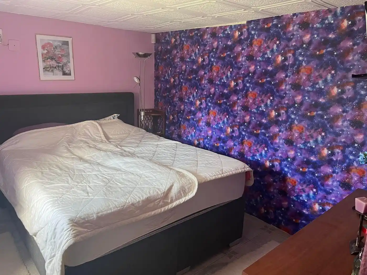 kuca na prodaju Novi Sad 187m2 529574