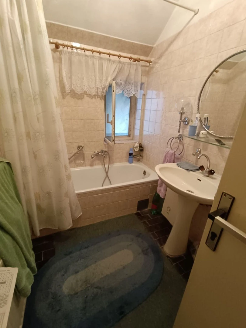kuca na prodaju Petrovaradin 250m2 529468