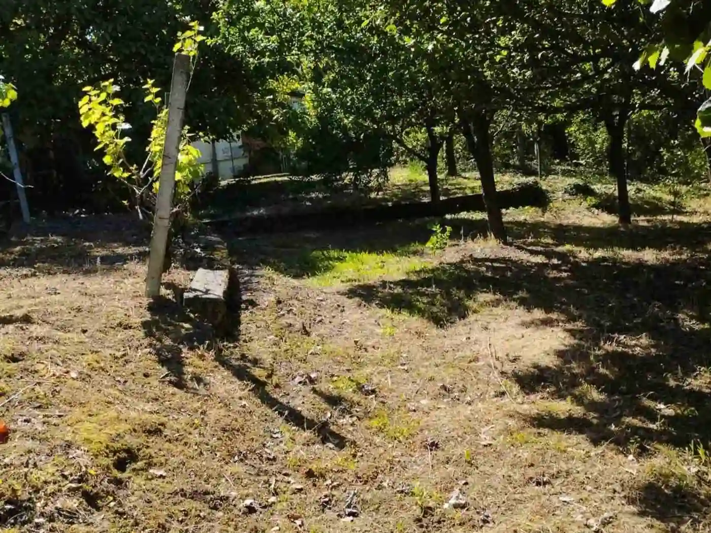 kuca na prodaju Sremski Karlovci 33m2 529783