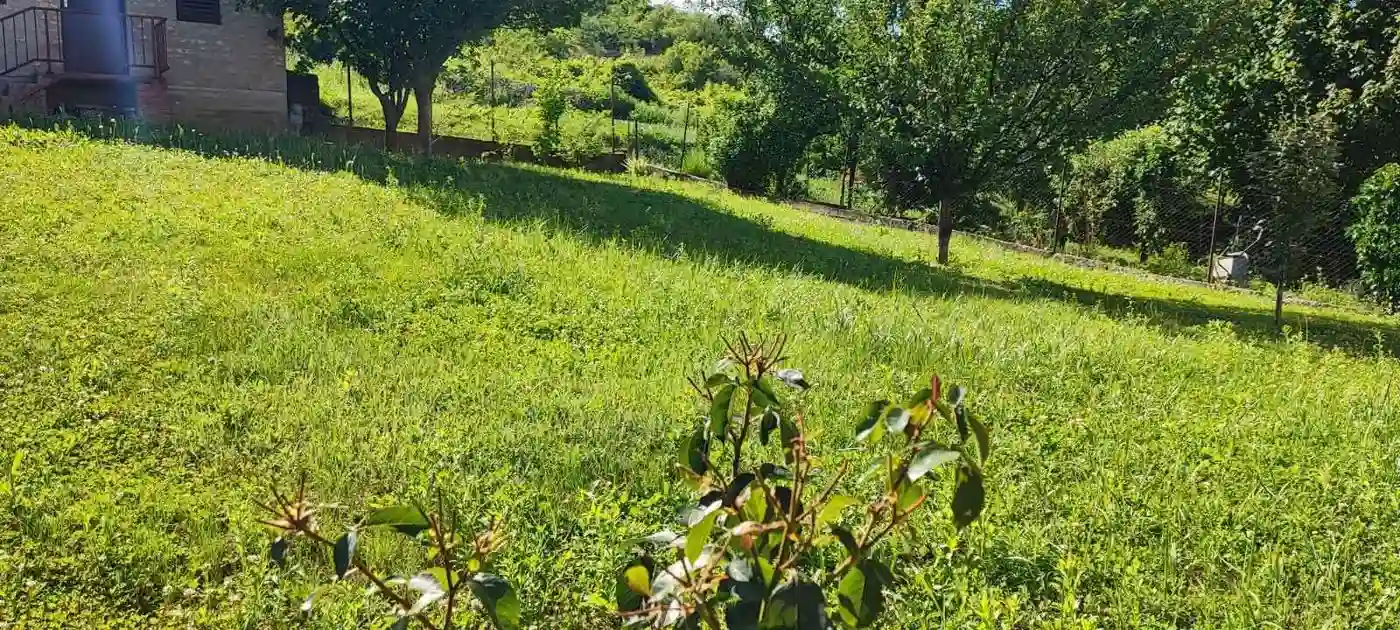 kuca na prodaju Sremski Karlovci 114m2 529830