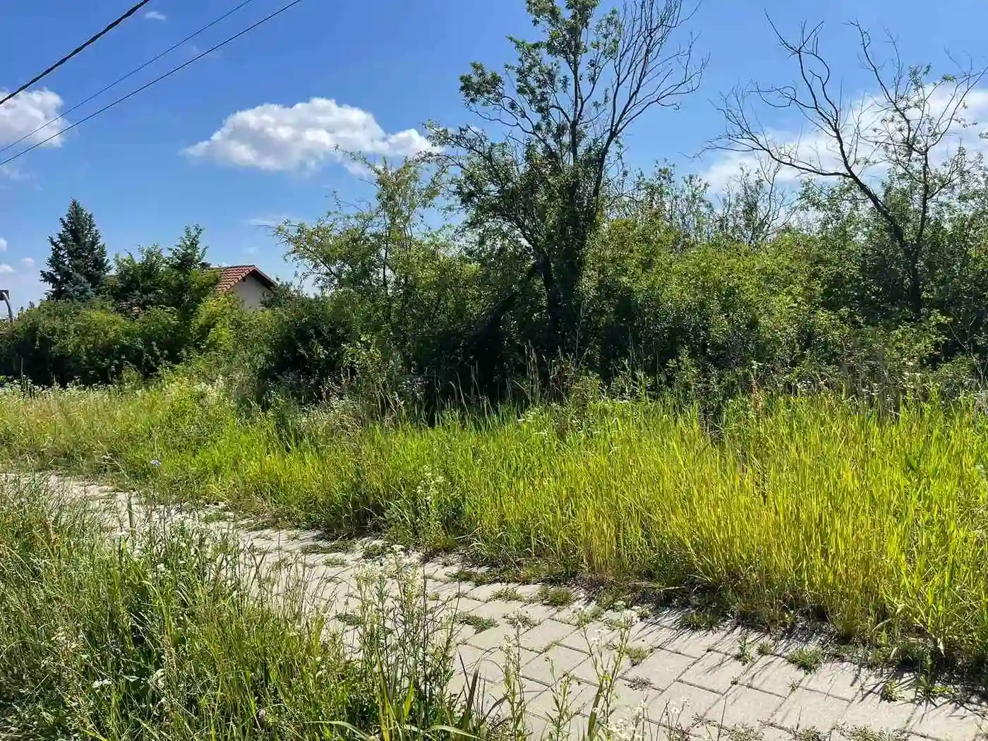 plac na prodaju Sremska Kamenica, 3558m2 529771