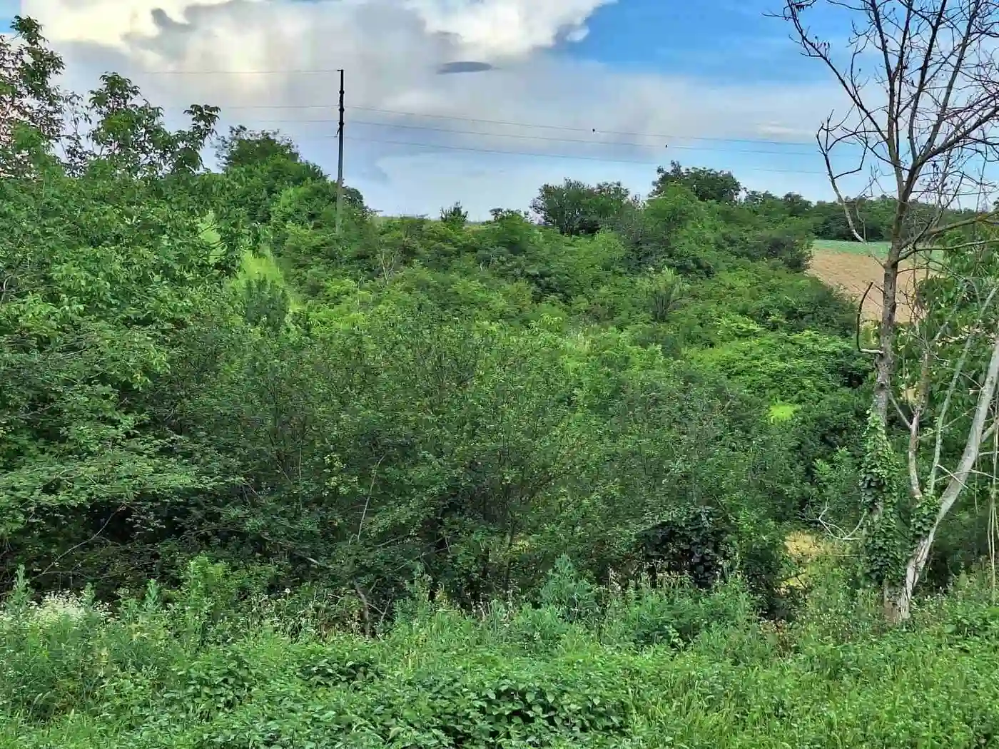 plac na prodaju Petrovaradin, 815m2 529862