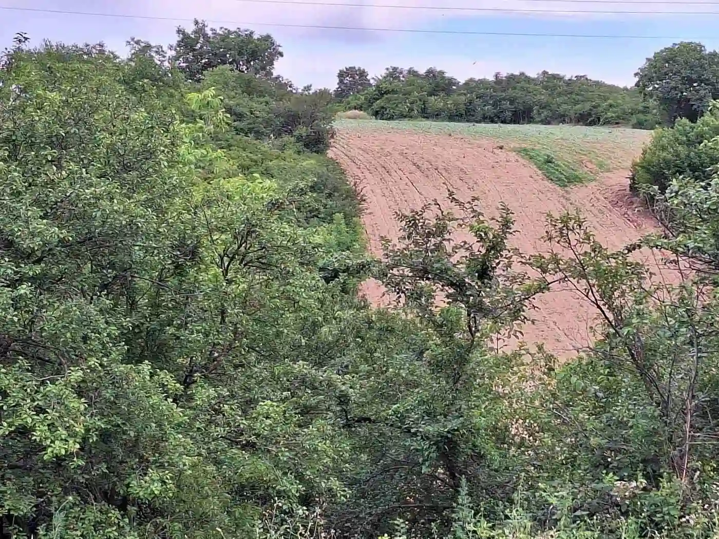 plac na prodaju Petrovaradin 815m2 529862