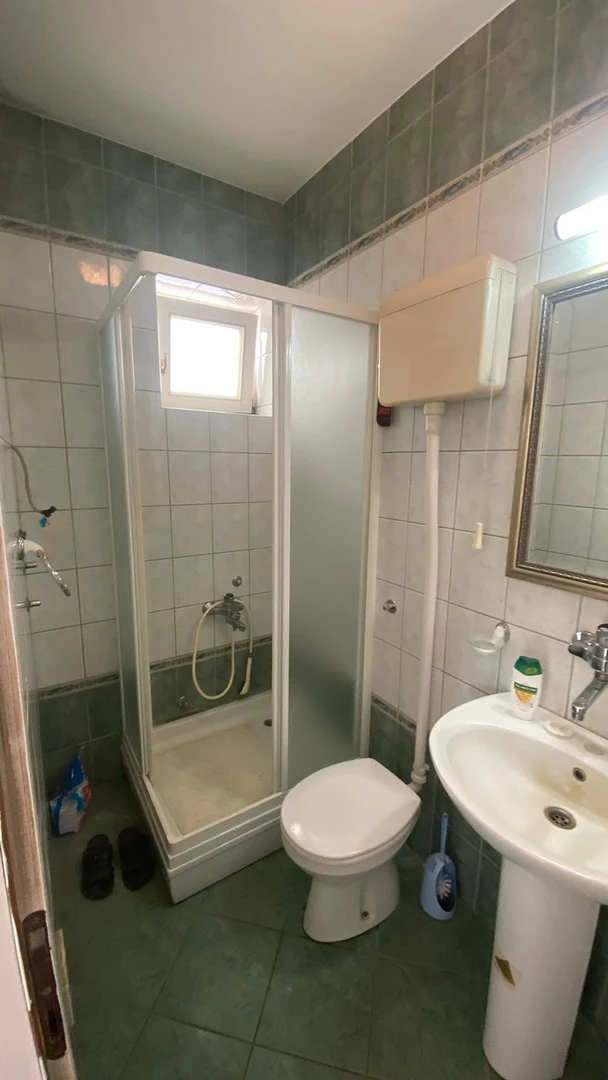 kuca na prodaju Novi Sad 112m2 529999