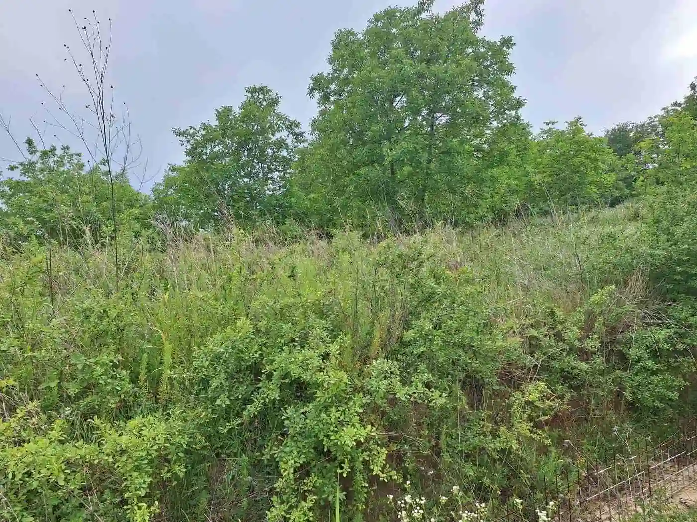 plac na prodaju Petrovaradin 834m2 530155