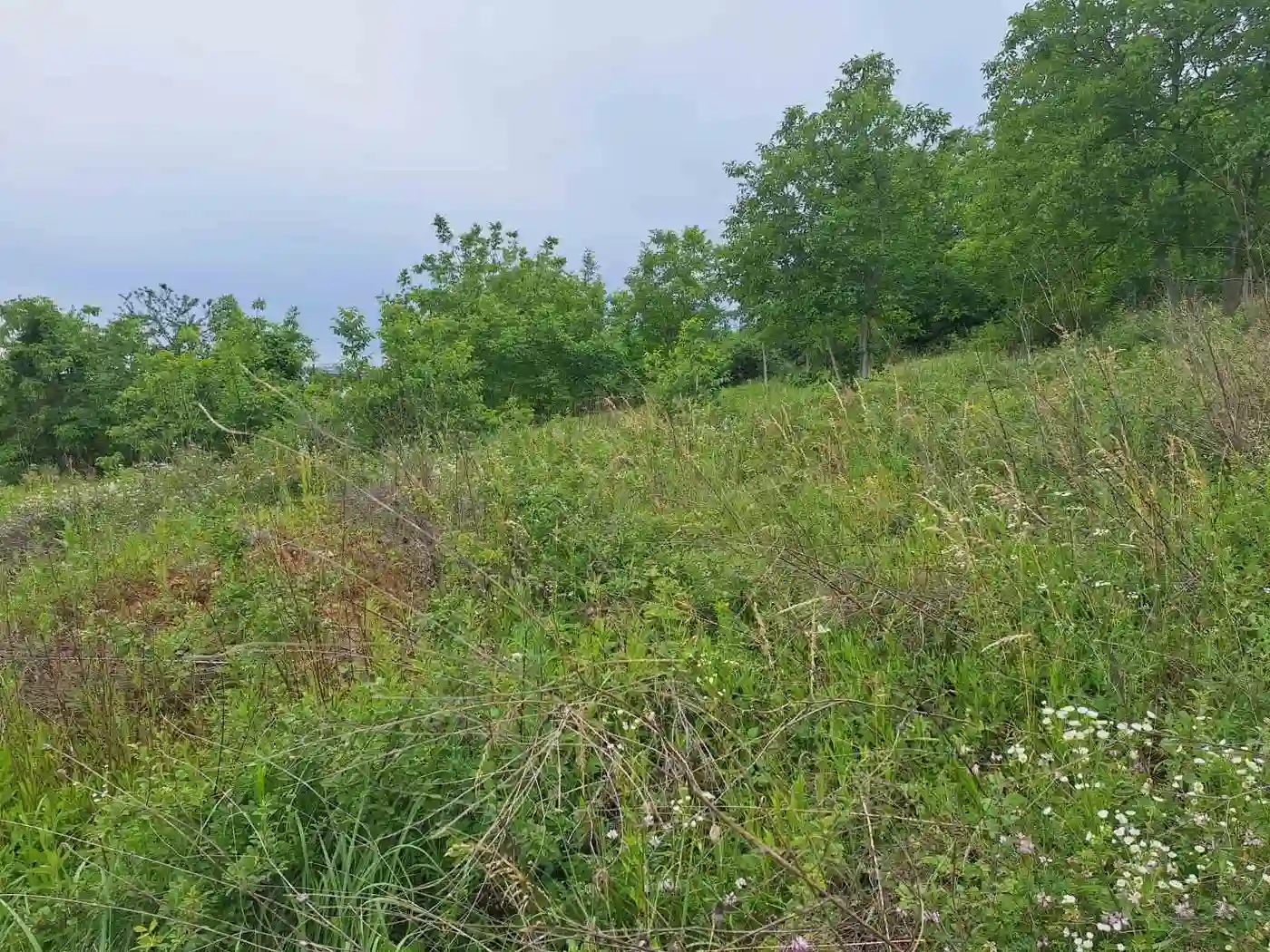plac na prodaju Petrovaradin 834m2 530155