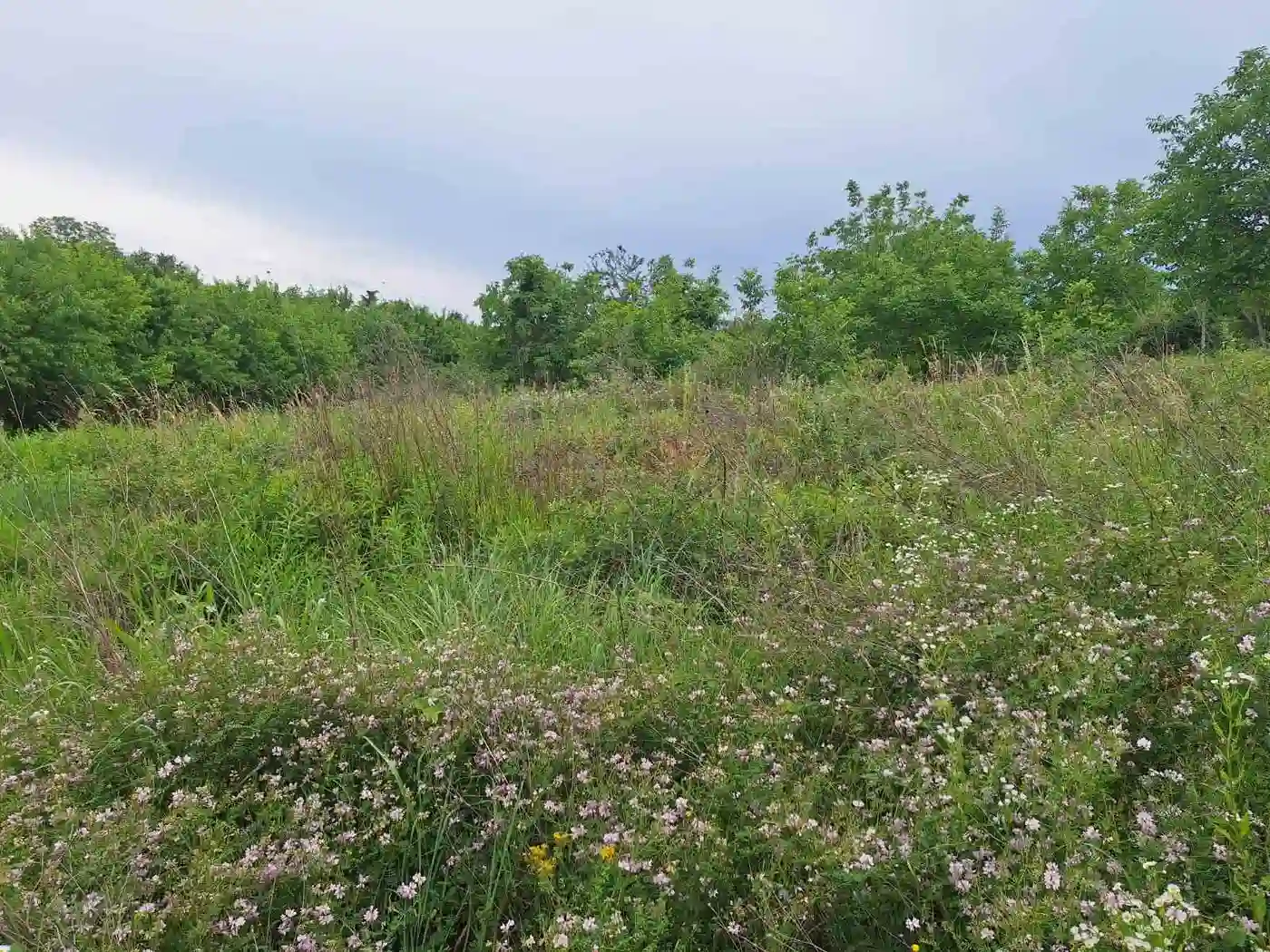 plac na prodaju Petrovaradin 834m2 530155