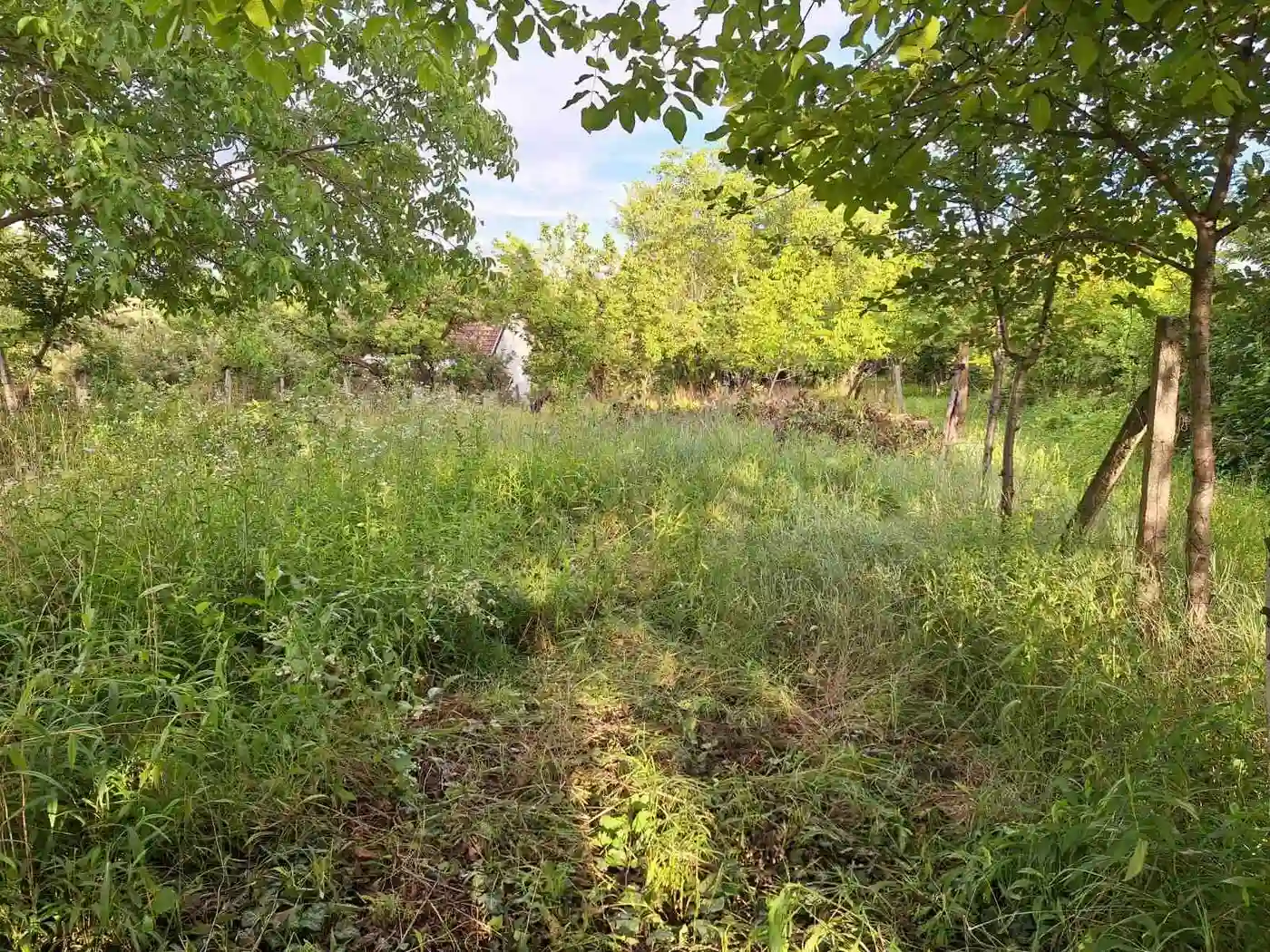 plac na prodaju Petrovaradin, 1028m2 530158