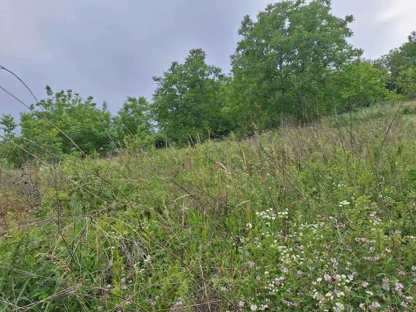 plac na prodaju Petrovaradin 834m2 530155