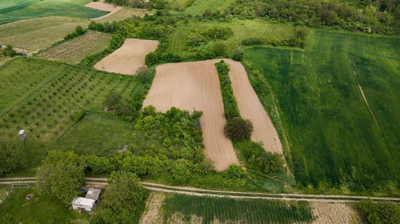 plac na prodaju Sremski Karlovci 7423m2 530411