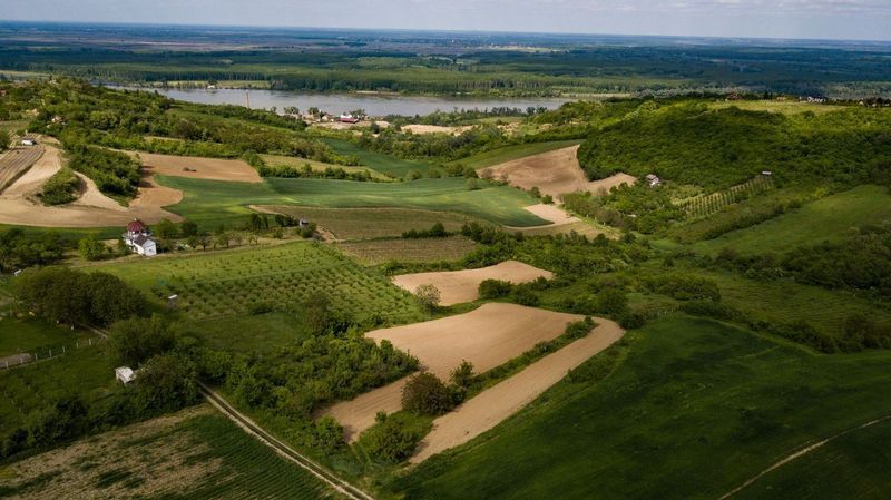 plac na prodaju Sremski Karlovci, 7423m2 530411