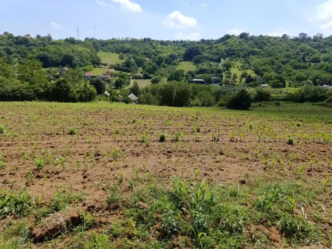 plac na prodaju Sremska Kamenica 3459m2 530790