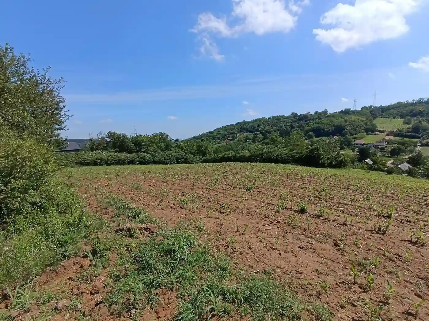 plac na prodaju Sremska Kamenica 3459m2 530790