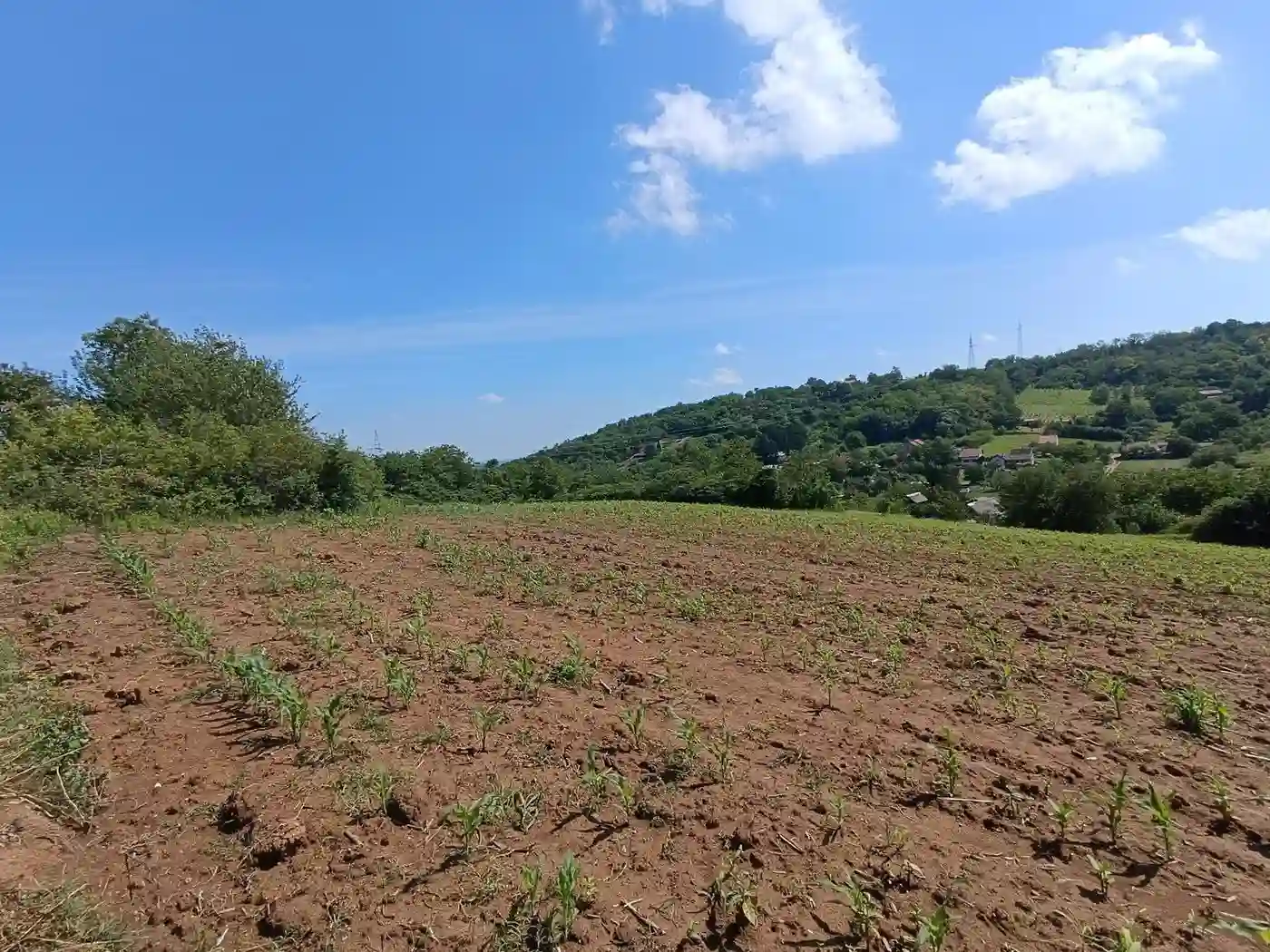 plac na prodaju Sremska Kamenica 3459m2 530790