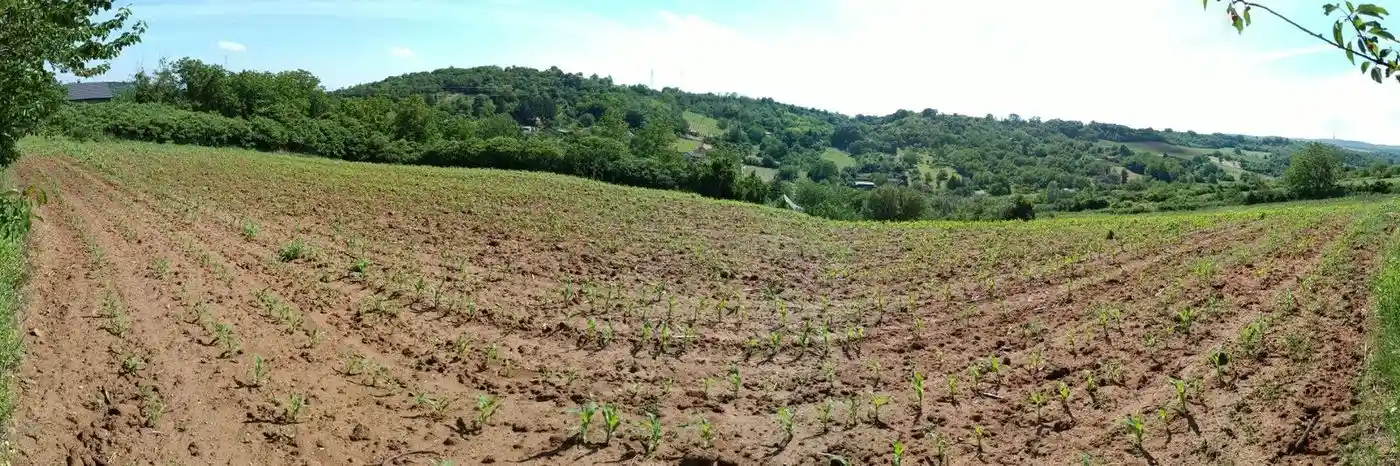 plac na prodaju Sremska Kamenica 3459m2 530790